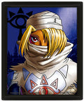 Quadro 3D The Legend Of Zelda To Sheik