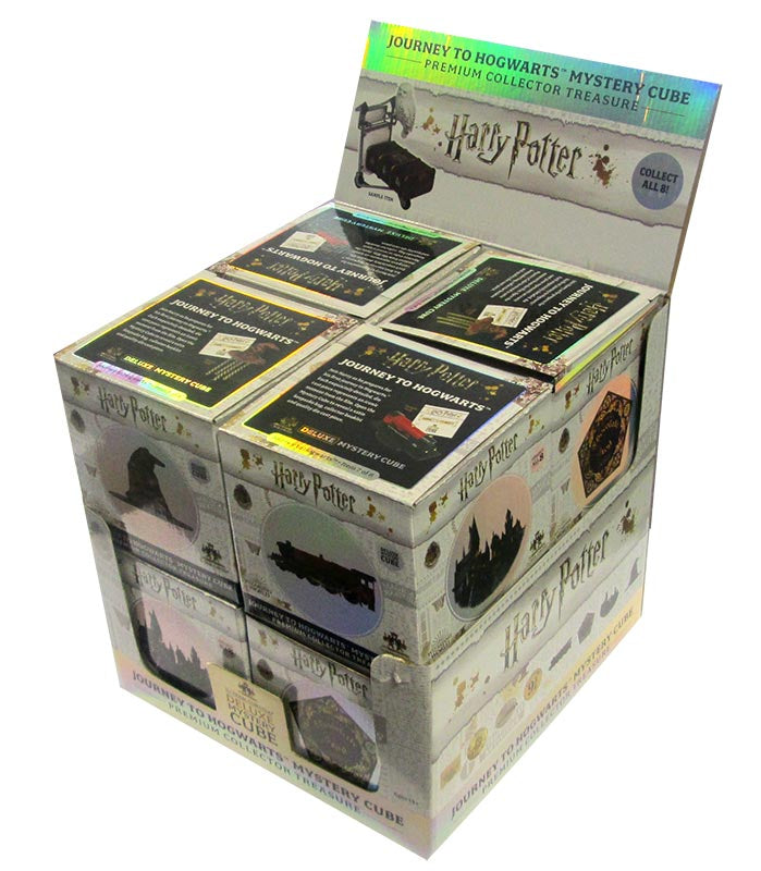 Mystery Cube Harry Potter Hogwarts 1pz