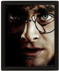 Quadro 3D Harry Potter Voldemort
