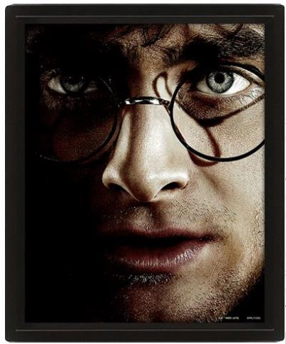 Quadro 3D Harry Potter Voldemort