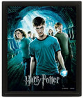 Quadro 3D Harry Potter Fawkes
