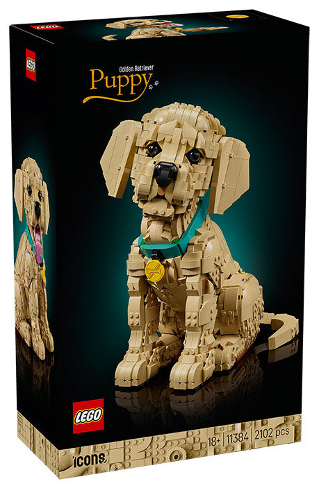 11384 Icons Cucciolo di Golden Retriever