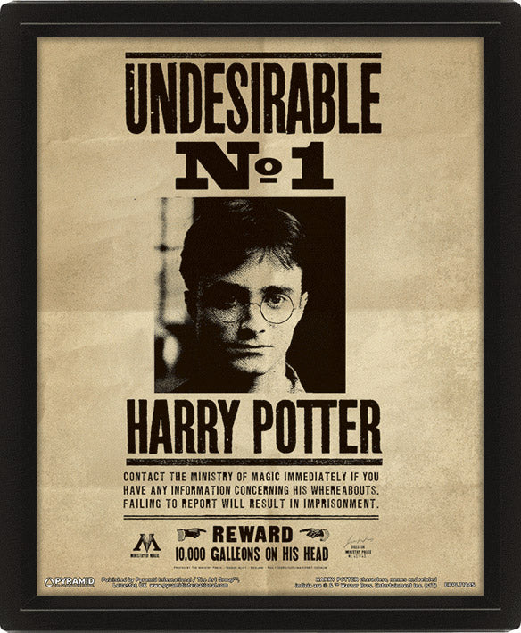 Quadro 3D Harry Potter Wanted