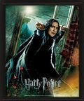 Quadro 3D Harry Potter Severus Piton