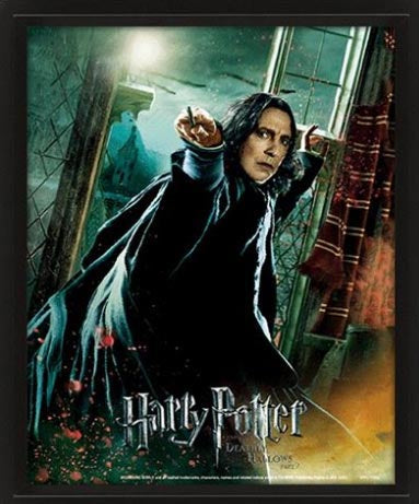 Quadro 3D Harry Potter Severus Piton