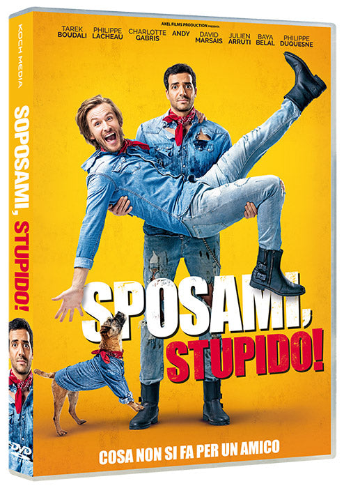 Sposami. Stupido!