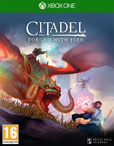 Citadel: Forged With Fire