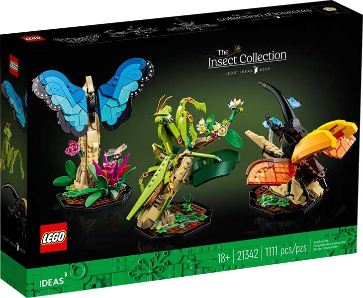 21342 Ideas Collezione di Insetti RARE