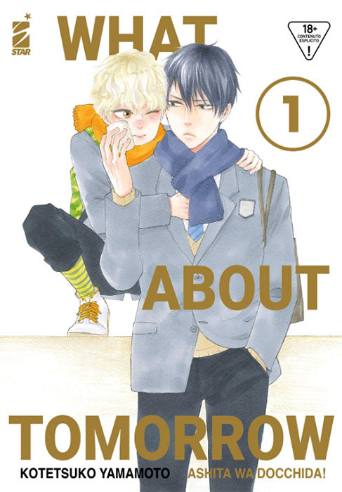 What About Tomorrow Ashita Wa Docchida! #01 Variant Cover