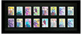 Cornice Esposizione Trading Card Nera 16 Posti