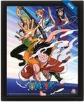 Quadro 3D One Piece Pirates