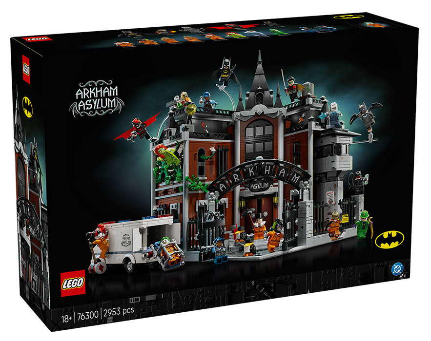 76300 DC Comics Batman Arkham Asylum RARE