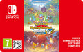 Pokemon Mystery Dungeon Rescue Team DX SWITCH PIN