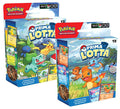 Pokemon ITA Prima Lotta